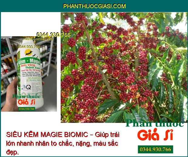 SIÊU KẼM MAGIE BIOMIC –  Thúc Đẩy Tăng Trưởng - Tăng Sức Đề Kháng - Trái Lớn Tối Đa