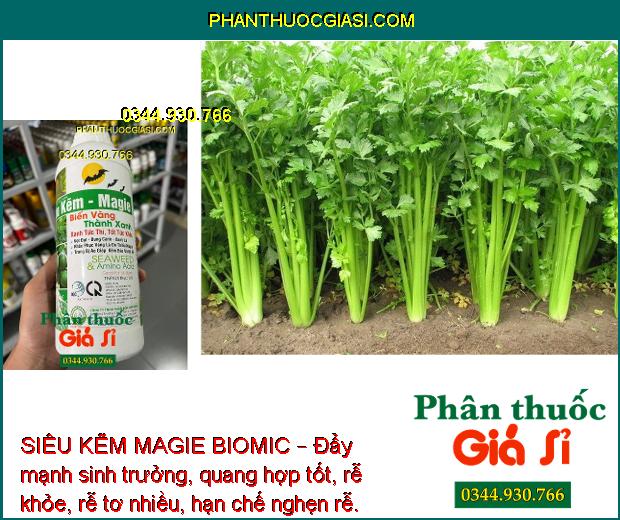 SIÊU KẼM MAGIE BIOMIC –  Thúc Đẩy Tăng Trưởng - Tăng Sức Đề Kháng - Trái Lớn Tối Đa