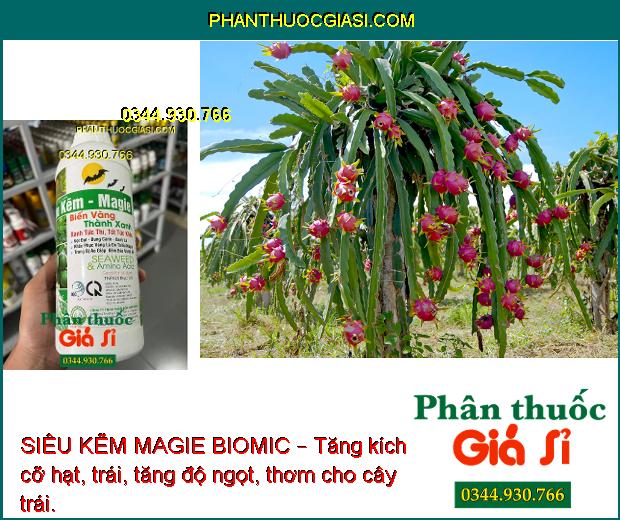 SIÊU KẼM MAGIE BIOMIC –  Thúc Đẩy Tăng Trưởng - Tăng Sức Đề Kháng - Trái Lớn Tối Đa