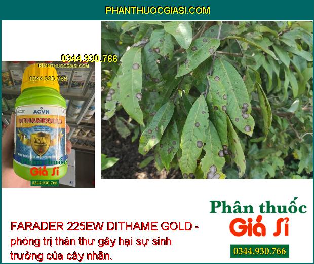 FARADER 225EW DITHAME GOLD - Trừ Bệnh Thán Thư - Sương Mai - Đốm Lá - Khô Vằn