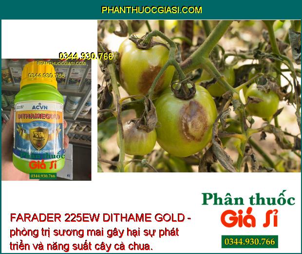 FARADER 225EW DITHAME GOLD - Trừ Bệnh Thán Thư - Sương Mai - Đốm Lá - Khô Vằn