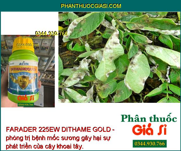 FARADER 225EW DITHAME GOLD - Trừ Bệnh Thán Thư - Sương Mai - Đốm Lá - Khô Vằn