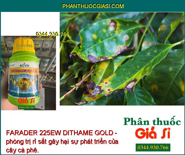 FARADER 225EW DITHAME GOLD - Trừ Bệnh Thán Thư - Sương Mai - Đốm Lá - Khô Vằn