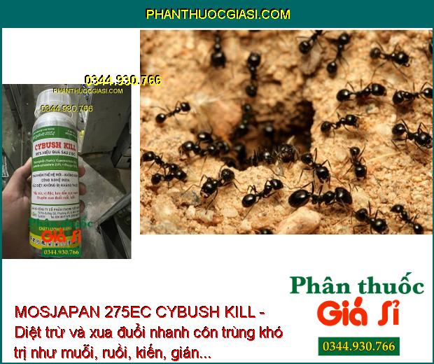 MOSJAPAN 275EC CYBUSH KILL - Diệt Côn Trùng Khó Trị Như Ruồi - Kiến - Gián