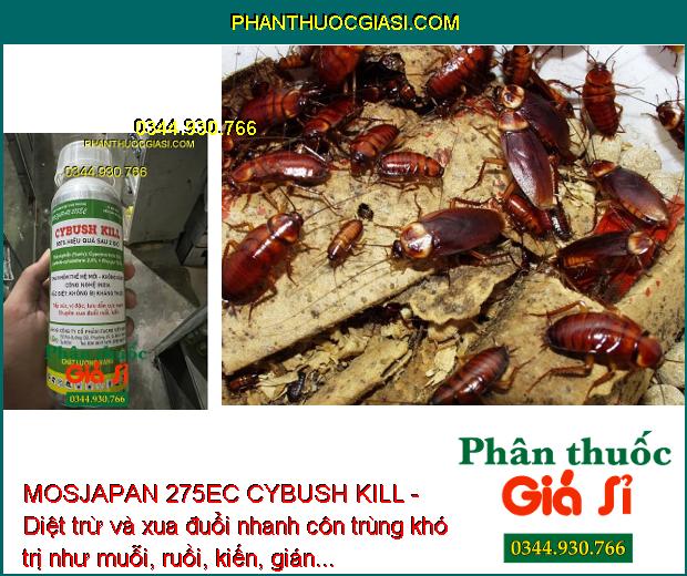 MOSJAPAN 275EC CYBUSH KILL - Diệt Côn Trùng Khó Trị Như Ruồi - Kiến - Gián