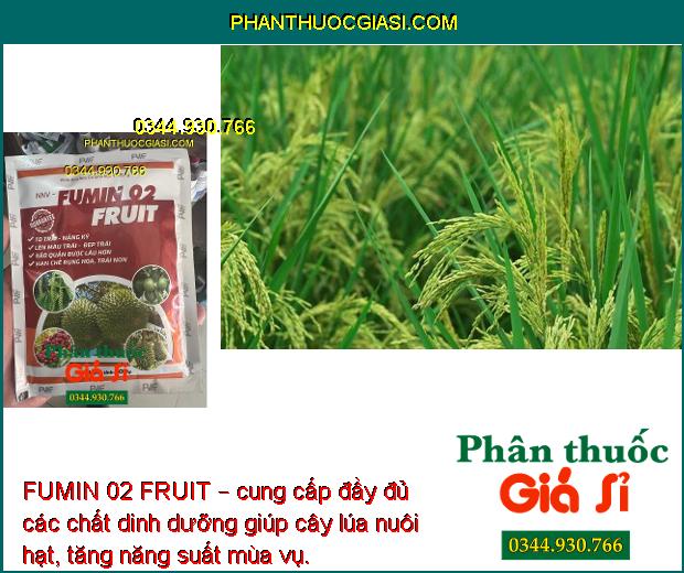 FUMIN 02 FRUIT – Hạn Chế Rụng Hoa - Trái Non - To Trái - Nặng Ký - Đẹp Trái