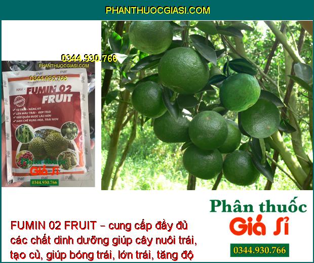 FUMIN 02 FRUIT – Hạn Chế Rụng Hoa - Trái Non - To Trái - Nặng Ký - Đẹp Trái