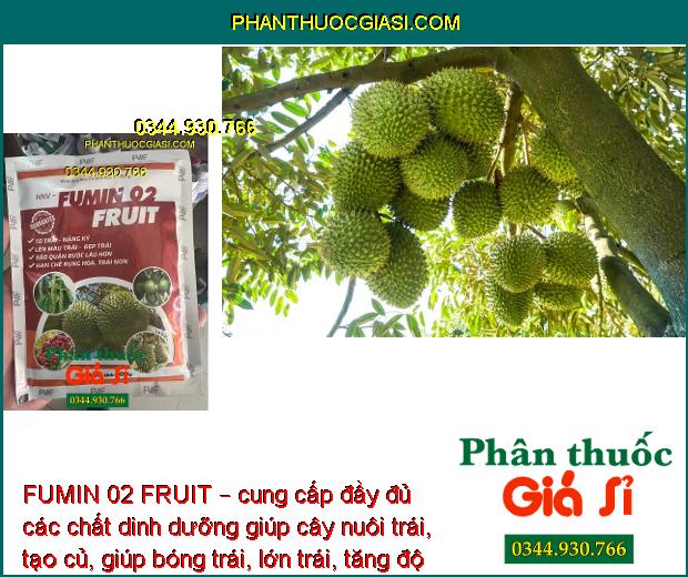 FUMIN 02 FRUIT – Hạn Chế Rụng Hoa - Trái Non - To Trái - Nặng Ký - Đẹp Trái