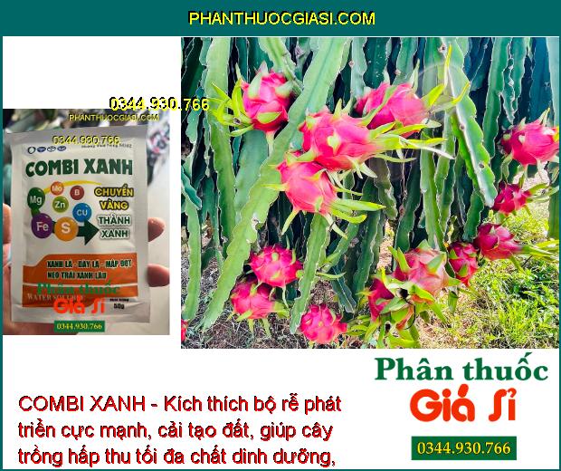 COMBI XANH- Kích Rễ Phát Triển - Đâm Chồi - Xanh Lá - Hạn Chế Rụng Hoa - Quả Non