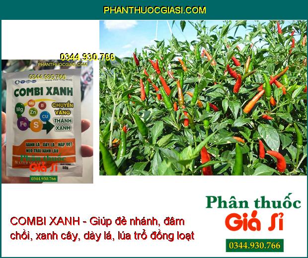 COMBI XANH- Kích Rễ Phát Triển - Đâm Chồi - Xanh Lá - Hạn Chế Rụng Hoa - Quả Non