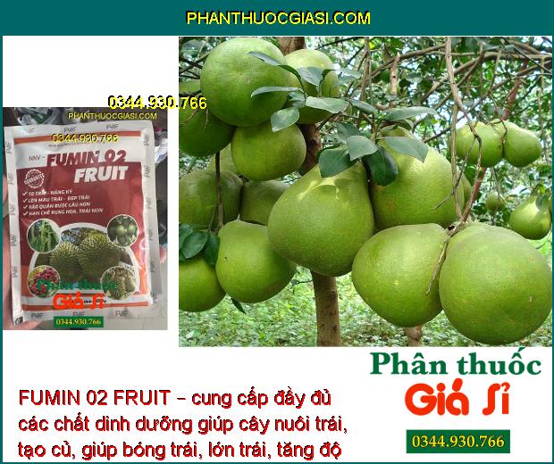 FUMIN 02 FRUIT – Hạn Chế Rụng Hoa - Trái Non - To Trái - Nặng Ký - Đẹp Trái