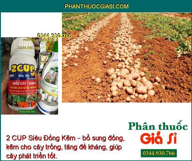 2 CUP Siêu Đồng Kẽm – Phòng Và Trị Nấm Bệnh - Chống Vàng Lá - Thối Rễ