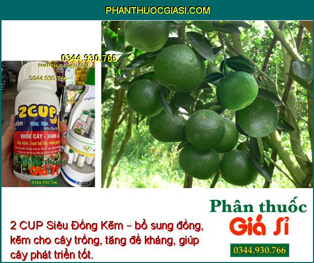 2 CUP Siêu Đồng Kẽm – Phòng Và Trị Nấm Bệnh - Chống Vàng Lá - Thối Rễ