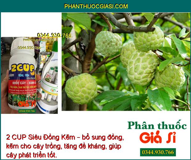 2 CUP Siêu Đồng Kẽm – Phòng Và Trị Nấm Bệnh - Chống Vàng Lá - Thối Rễ