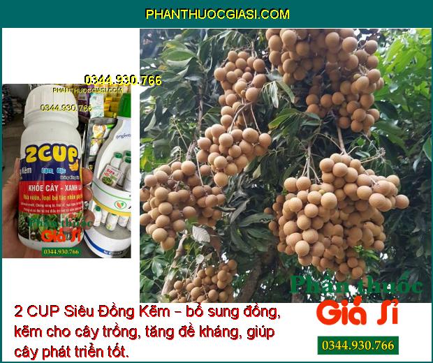 2 CUP Siêu Đồng Kẽm – Phòng Và Trị Nấm Bệnh - Chống Vàng Lá - Thối Rễ