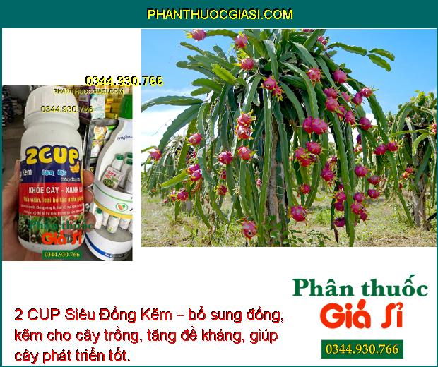 2 CUP Siêu Đồng Kẽm – Phòng Và Trị Nấm Bệnh - Chống Vàng Lá - Thối Rễ