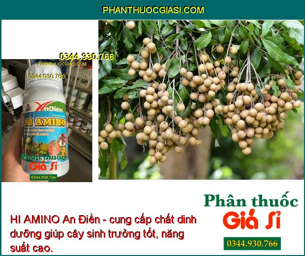 HI AMINO An Điền- Kích Ra Rễ- Đâm Chồi- Kích Thích Tăng Trưởng- Tăng Sức Đề Kháng