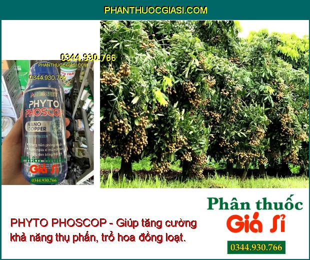 PHYTO PHOSCOP - Tẩy Rong - Phân Hóa Mầm Hoa - Ngừa Tuyến Trùng