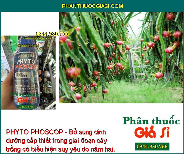 PHYTO PHOSCOP - Tẩy Rong - Phân Hóa Mầm Hoa - Ngừa Tuyến Trùng