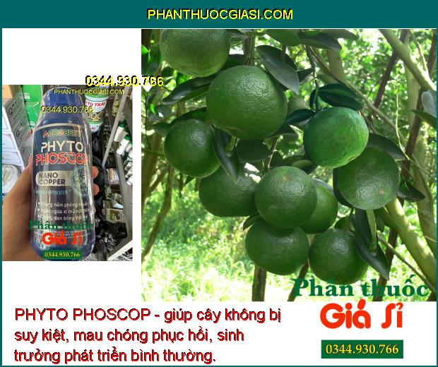 PHYTO PHOSCOP - Tẩy Rong - Phân Hóa Mầm Hoa - Ngừa Tuyến Trùng