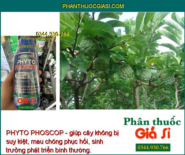 PHYTO PHOSCOP - Tẩy Rong - Phân Hóa Mầm Hoa - Ngừa Tuyến Trùng