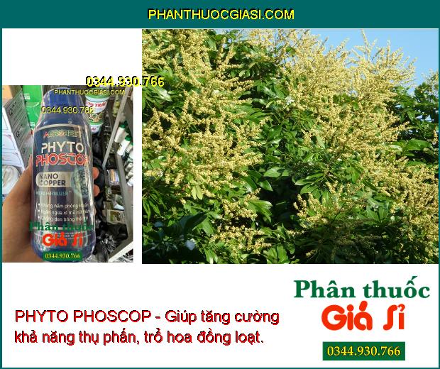 PHYTO PHOSCOP - Tẩy Rong - Phân Hóa Mầm Hoa - Ngừa Tuyến Trùng