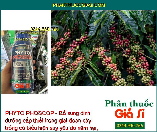 PHYTO PHOSCOP - Tẩy Rong - Phân Hóa Mầm Hoa - Ngừa Tuyến Trùng