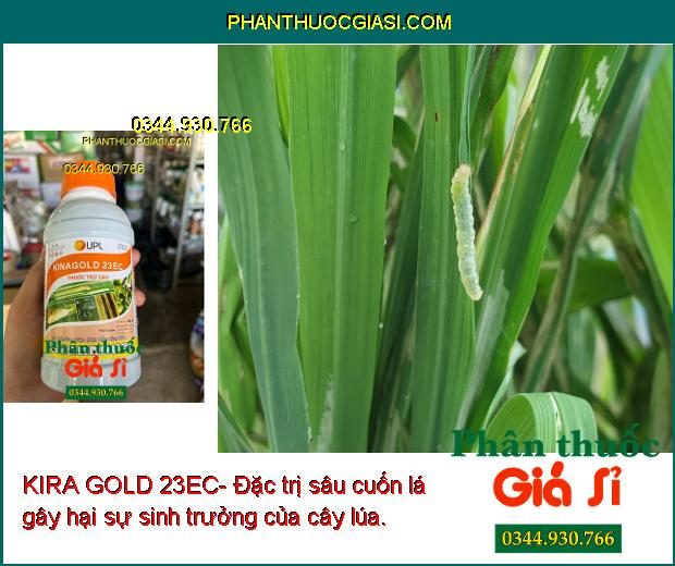 KIRA GOLD 23EC- Đặc Trị Nhện Gié - Sâu Cuốn Lá - Sâu Đục Thân - Sâu Xanh