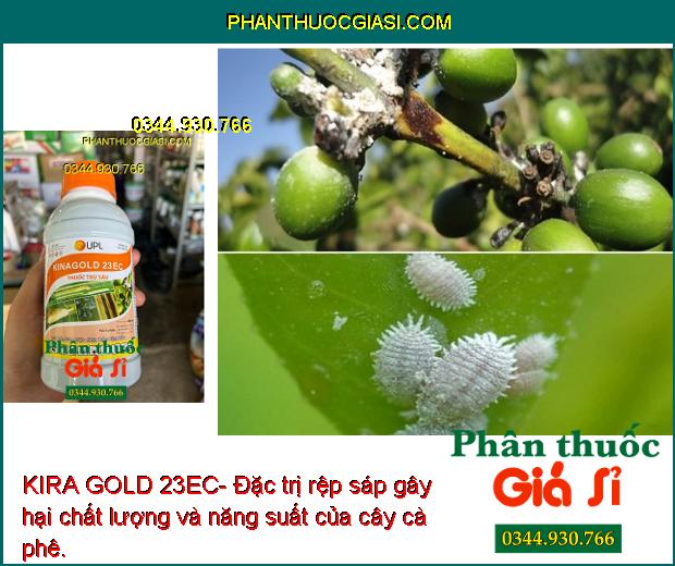 KIRA GOLD 23EC- Đặc Trị Nhện Gié - Sâu Cuốn Lá - Sâu Đục Thân - Sâu Xanh