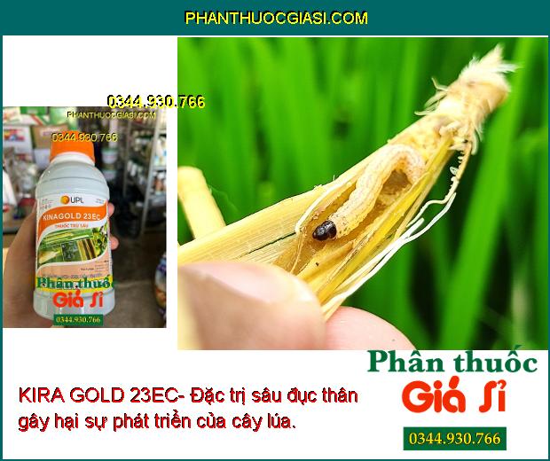 KIRA GOLD 23EC- Đặc Trị Nhện Gié - Sâu Cuốn Lá - Sâu Đục Thân - Sâu Xanh