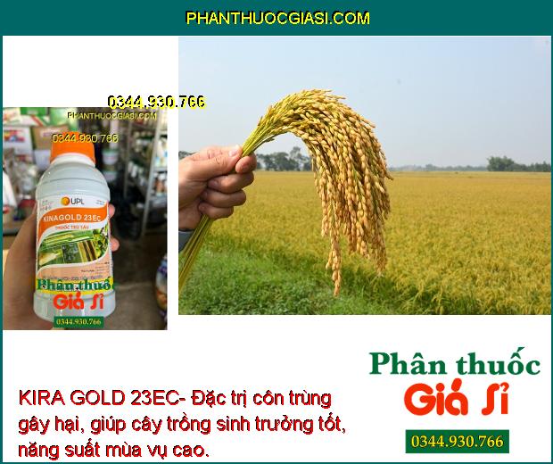 KIRA GOLD 23EC- Đặc Trị Nhện Gié - Sâu Cuốn Lá - Sâu Đục Thân - Sâu Xanh