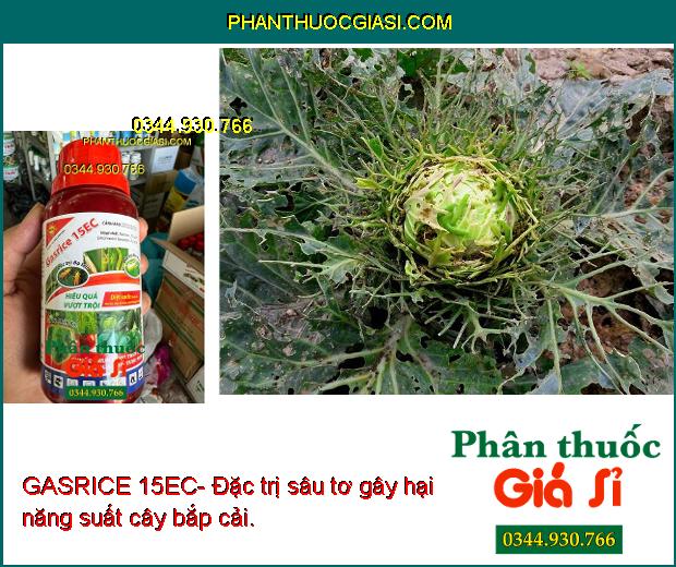 GASRICE 15EC- Đặc Trị Côn Trùng Gây Hại Như: Bọ Trĩ - Sâu Cuốn Lá - Sâu Tơ...