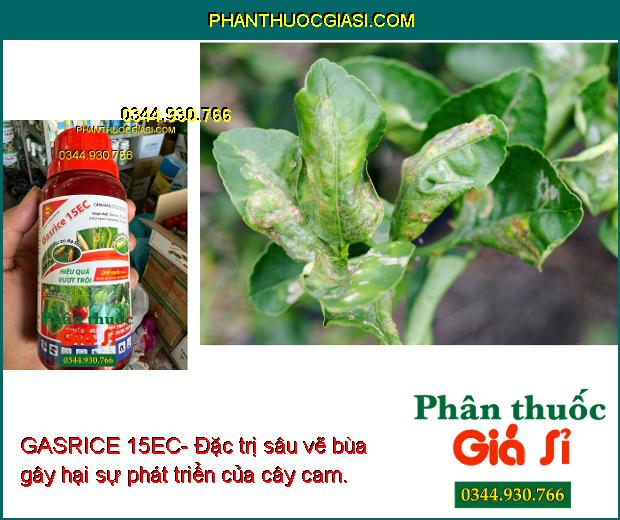 GASRICE 15EC- Đặc Trị Côn Trùng Gây Hại Như: Bọ Trĩ - Sâu Cuốn Lá - Sâu Tơ...