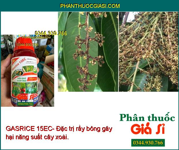 GASRICE 15EC- Đặc Trị Côn Trùng Gây Hại Như: Bọ Trĩ - Sâu Cuốn Lá - Sâu Tơ...