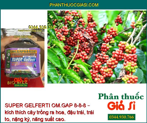 SUPER GELFERTI OM.GAP 8-8-8 – Kích Thích Sinh Trưởng - Tăng Nảy Mầm - Tăng Ra Hoa Đậu Trái 