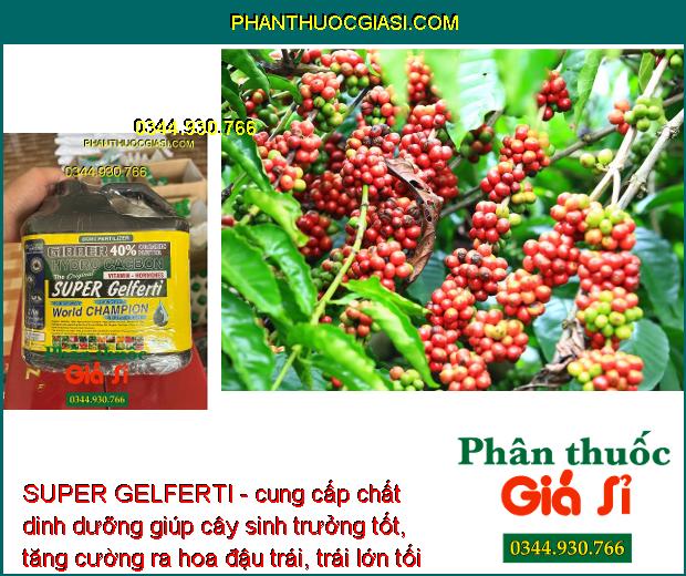 SUPER GELFERTI - Tăng Nảy Mầm - Ra Rễ Mạnh - Vọt Đọt - Ra Hoa - Tăng Đậu Trái