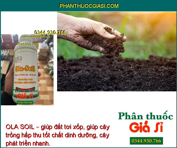 OLA SOIL – Cải Tạo Đất - Bung Rễ Mạnh - Ngăn Ngừa Nấm Bệnh