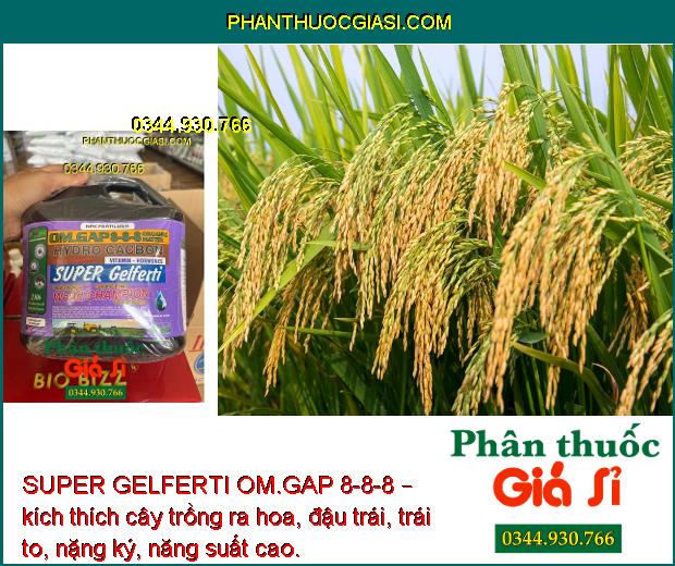 SUPER GELFERTI OM.GAP 8-8-8 – Kích Thích Sinh Trưởng - Tăng Nảy Mầm - Tăng Ra Hoa Đậu Trái 