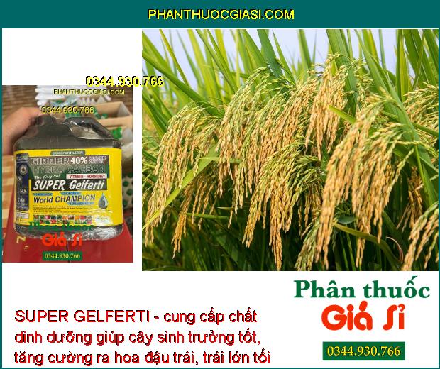 SUPER GELFERTI - Tăng Nảy Mầm - Ra Rễ Mạnh - Vọt Đọt - Ra Hoa - Tăng Đậu Trái