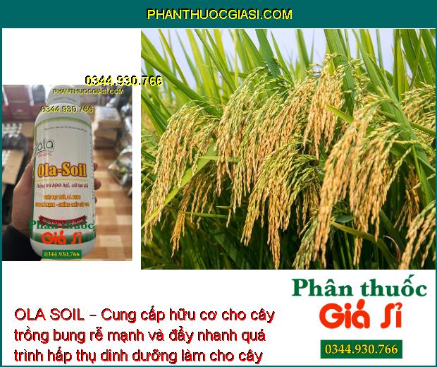 OLA SOIL – Cải Tạo Đất - Bung Rễ Mạnh - Ngăn Ngừa Nấm Bệnh