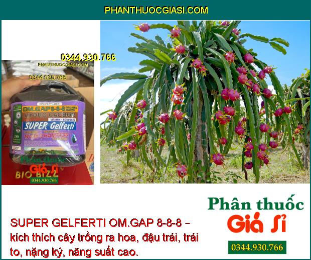 SUPER GELFERTI OM.GAP 8-8-8 – Kích Thích Sinh Trưởng - Tăng Nảy Mầm - Tăng Ra Hoa Đậu Trái 