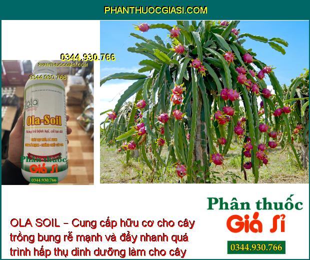 OLA SOIL – Cải Tạo Đất - Bung Rễ Mạnh - Ngăn Ngừa Nấm Bệnh