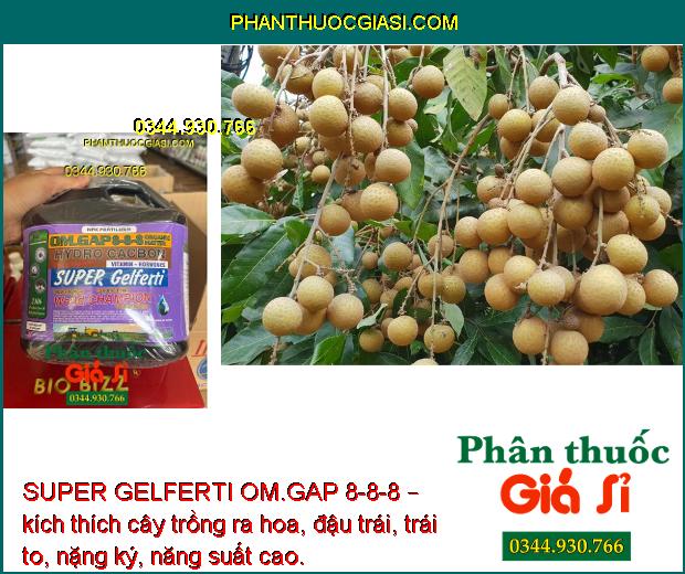 SUPER GELFERTI OM.GAP 8-8-8 – Kích Thích Sinh Trưởng - Tăng Nảy Mầm - Tăng Ra Hoa Đậu Trái 