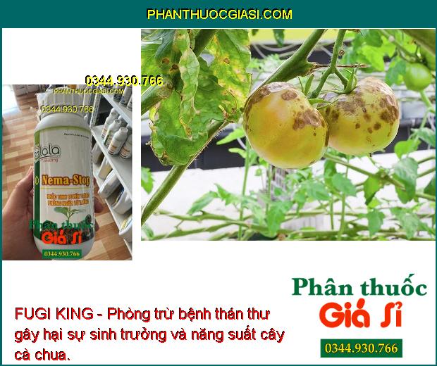 FUGI KING - Phòng Trừ Nấm Bệnh - Thán Thư - Xì Mủ - Thối Quả - Thối Rễ