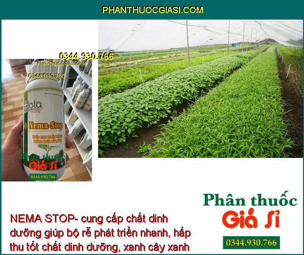 NEMA STOP- Phục Hồi Rễ - Cải Tạo Đất - Ngăn Ngừa Tuyến Trùng Gây Hại