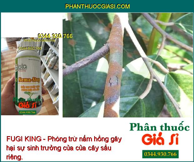 FUGI KING - Phòng Trừ Nấm Bệnh - Thán Thư - Xì Mủ - Thối Quả - Thối Rễ