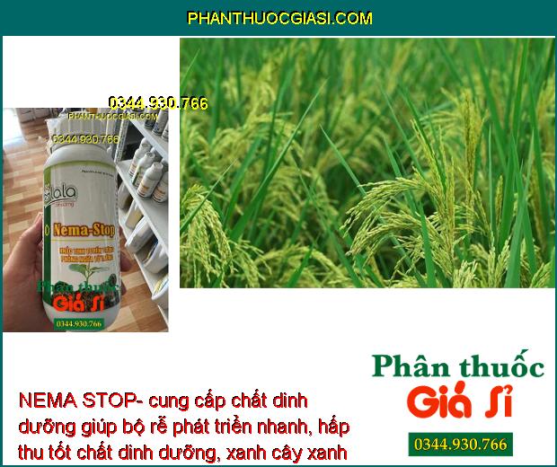 NEMA STOP- Phục Hồi Rễ - Cải Tạo Đất - Ngăn Ngừa Tuyến Trùng Gây Hại