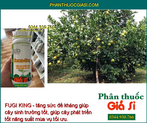 FUGI KING - Phòng Trừ Nấm Bệnh - Thán Thư - Xì Mủ - Thối Quả - Thối Rễ