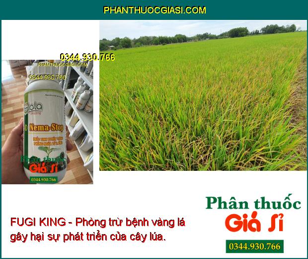 FUGI KING - Phòng Trừ Nấm Bệnh - Thán Thư - Xì Mủ - Thối Quả - Thối Rễ