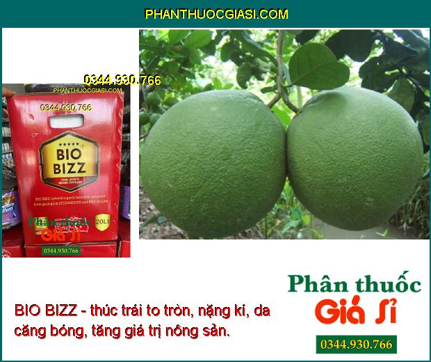 BIO BIZZ - Kích Rễ - Bung Đọt Mạnh - Trái To Tròn - Nặng Ký - Giải Độc Phèn - Nâng pH Đất